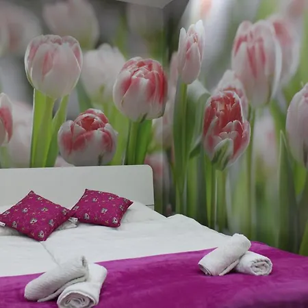 Guest house Luwiana Ljubljana